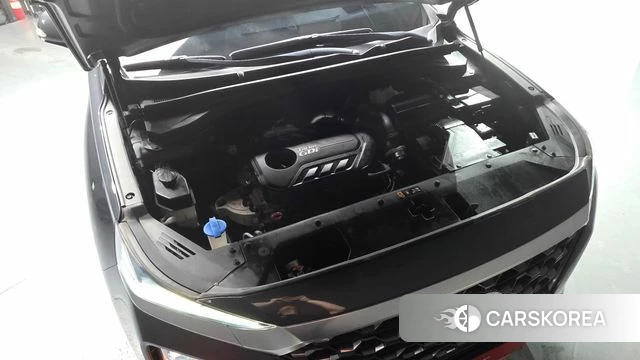 Hyundai Santa Fe TM id 4615064 из Кореи 31