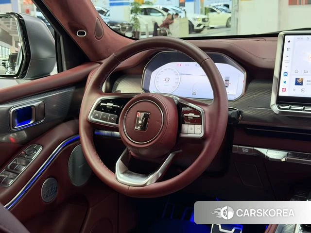 Tank 700 Hi4-T 2025 Темно-серый из Китая, фото 6