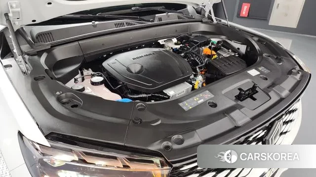 Renault Korea (Samsung) Grand Coleos id 3576053 из Кореи 16