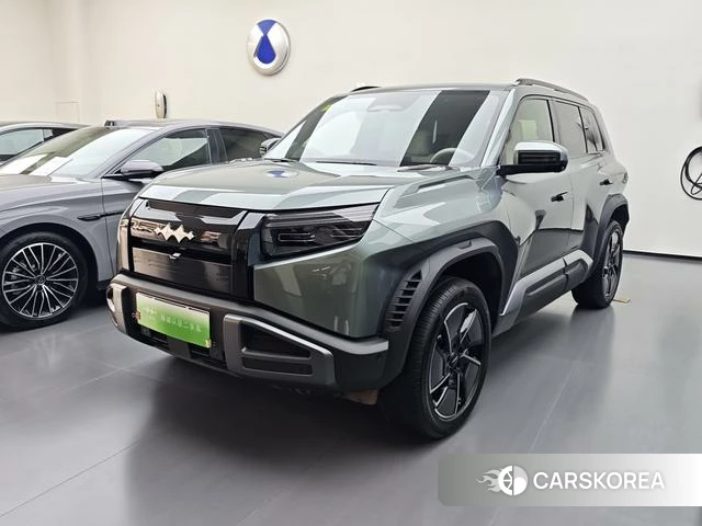 Leopard Titanium 3 2025 Зеленый из Китая, фото 6