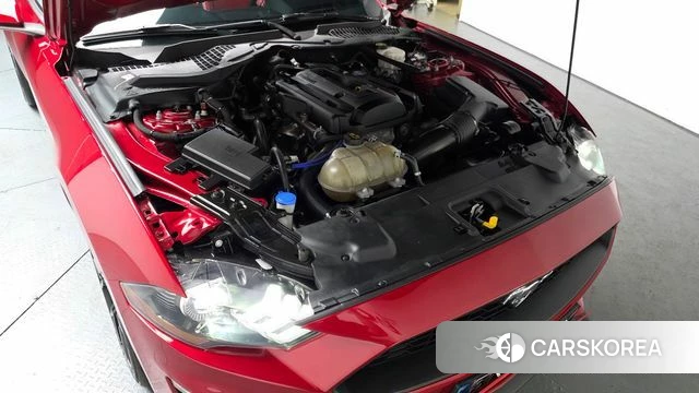 Ford Mustang id 3885464 из Кореи 16