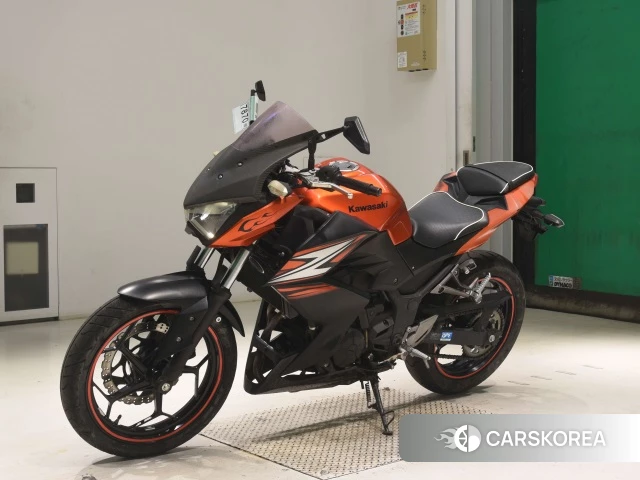 Kawasaki Z250 2014 из Японии, фото 4