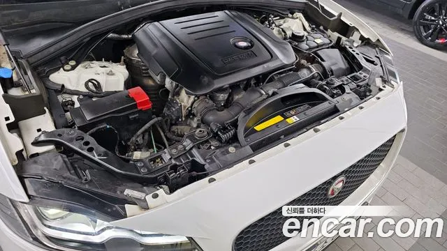 Jaguar F-PACE id 2850468 из Кореи 16