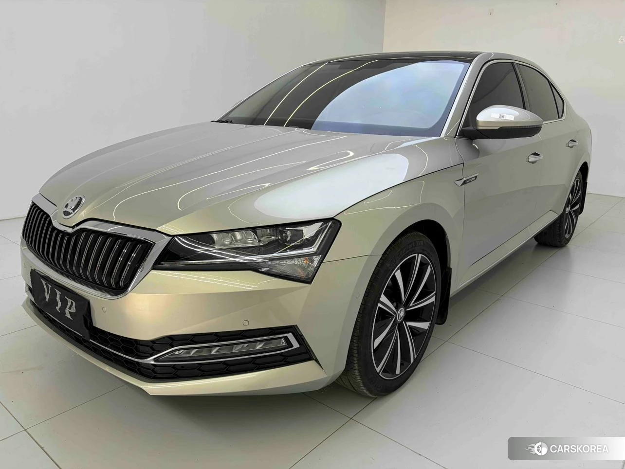 Skoda Speed pie id 4468076 из Китая 12