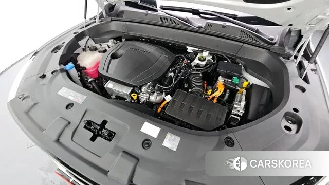 Renault Korea (Samsung) Grand Coleos id 3316181 из Кореи 16