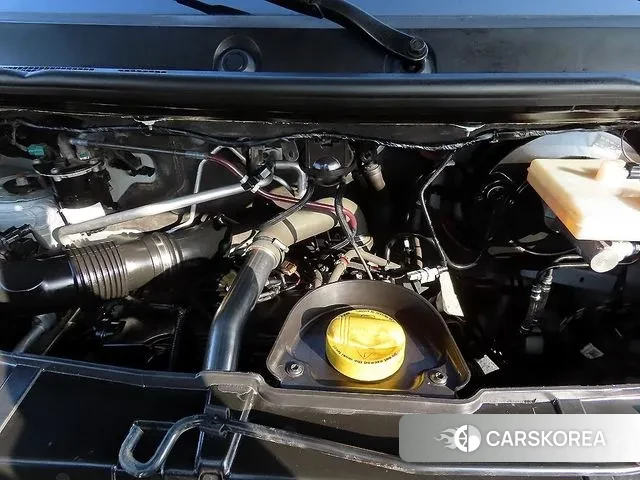 Renault Korea (Samsung) Master id 3454715 из Кореи 14