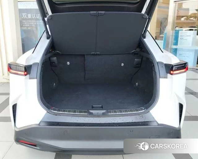 Lexus RZ id 4321064 из Китая 21