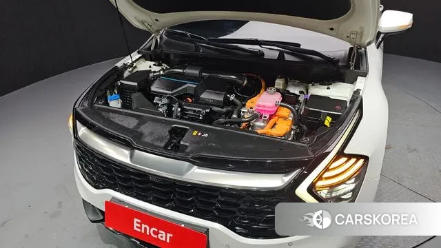 Kia Sportage 5th Generation Hybrid id 3518966 из Кореи 16