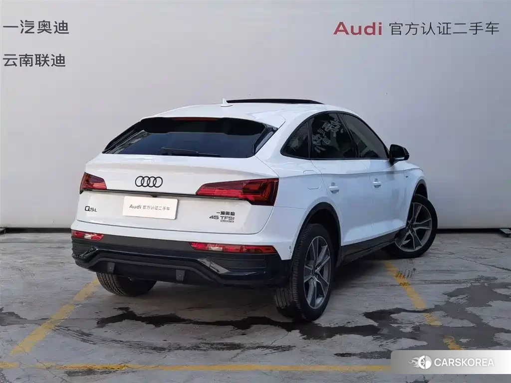 Audi Q5L id 4629461 из Китая 27