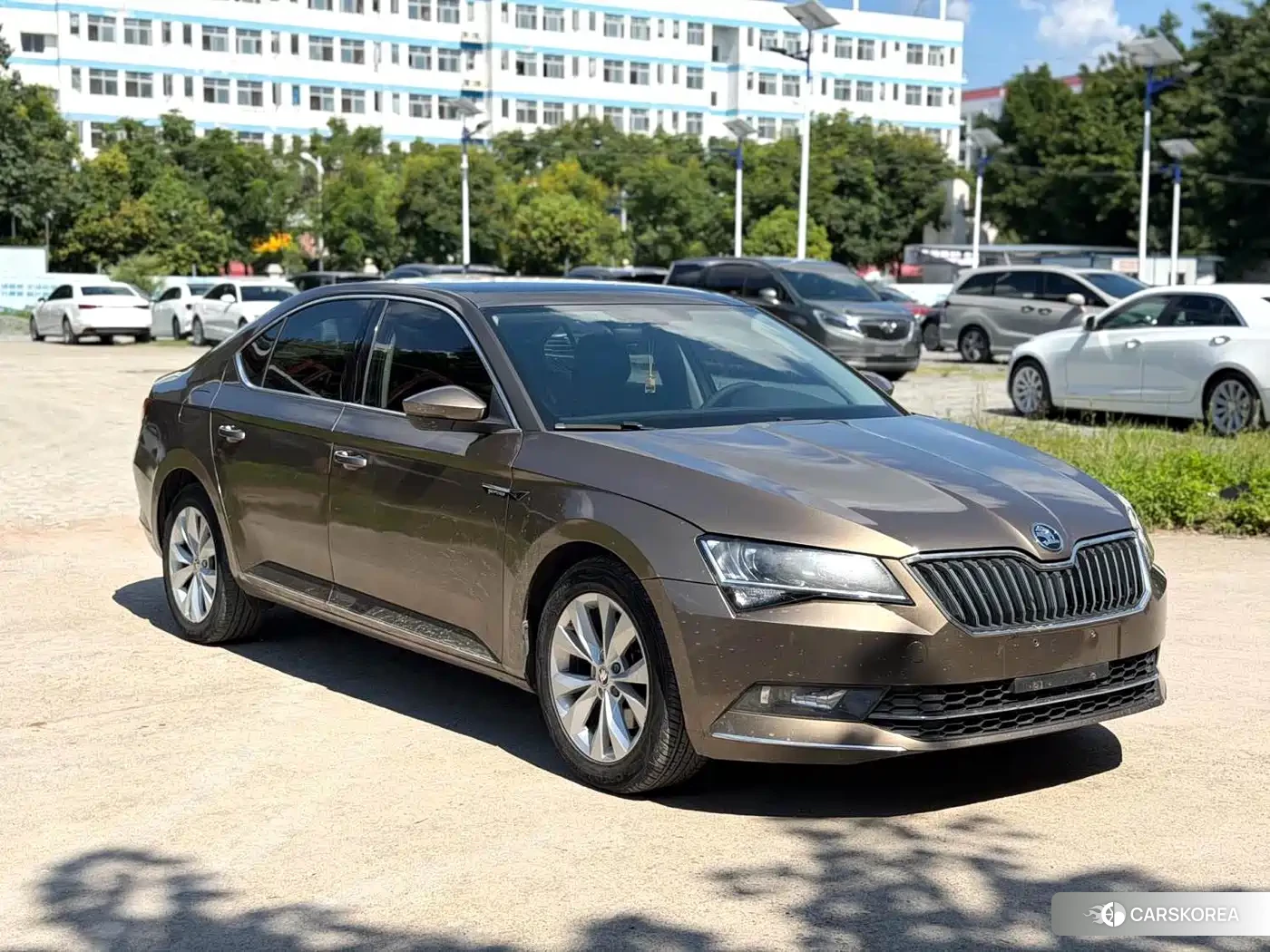 Skoda Speed pie 2018 Champagne/brown из Китая, фото 6