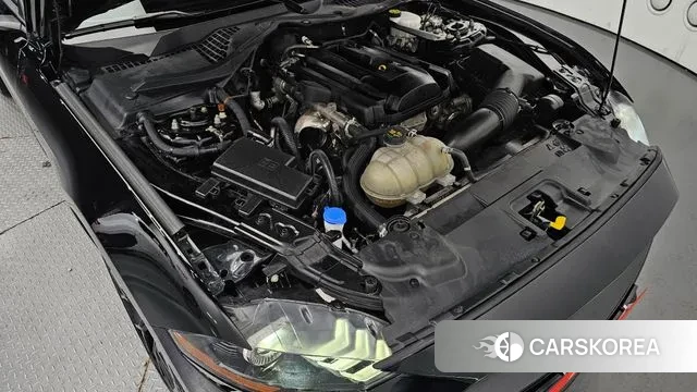 Ford Mustang id 2980428 из Кореи 16