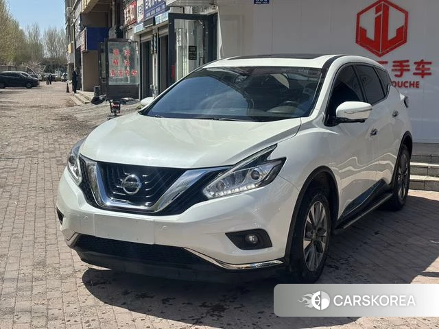 Nissan Loulan 2021 Белый из Китая, фото 6