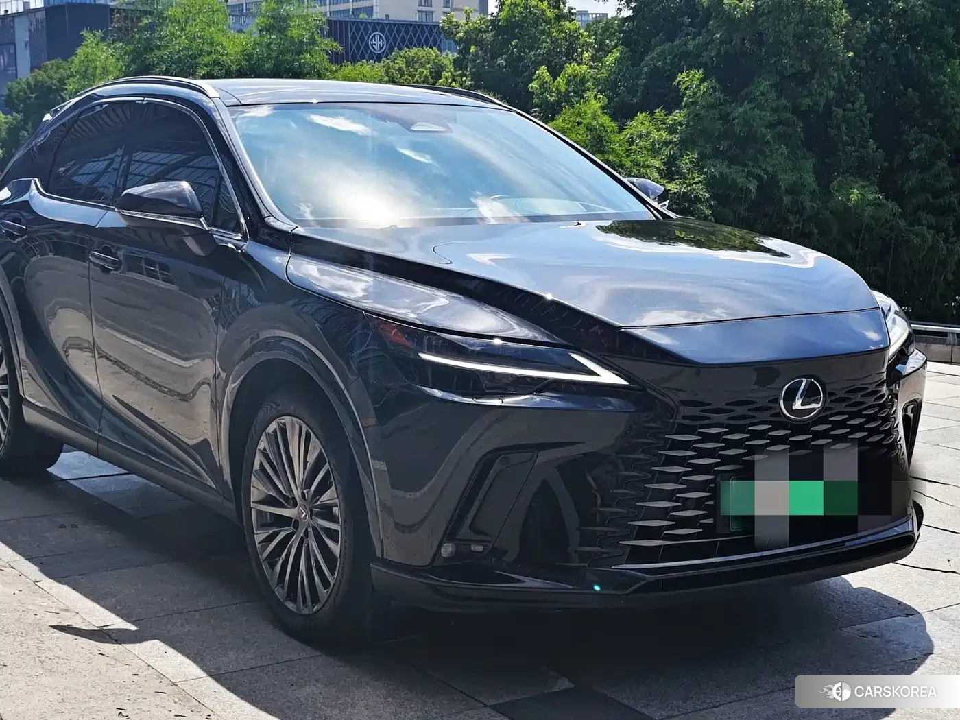 Lexus RX id 4600524 из Китая 12