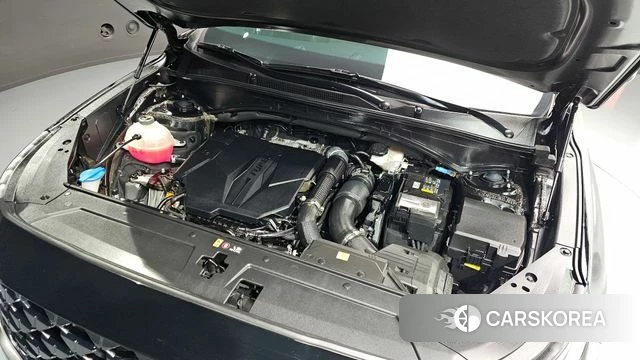 Hyundai The New Santa Fe id 4194732 из Кореи 26