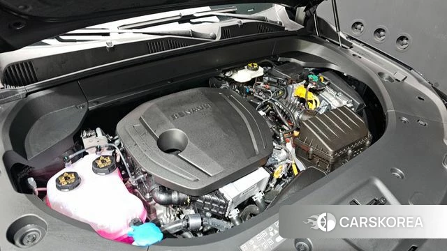 Renault Korea (Samsung) Filant id 4413630 из Кореи 31