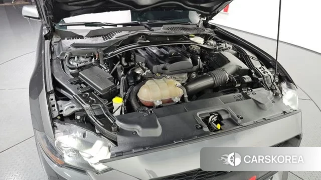 Ford Mustang id 3060504 из Кореи 16