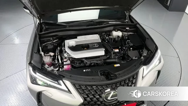 Lexus UX250h id 3769901 из Кореи 16