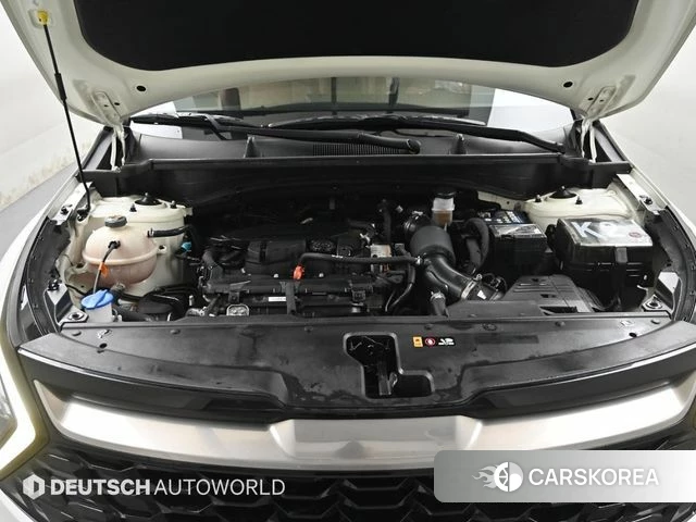 Kia Sportage 5th Generation id 3865548 из Кореи 16