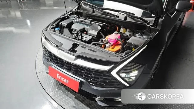 Kia Sportage 5th Generation Hybrid id 3735165 из Кореи 16