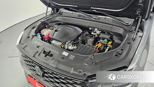 Renault Korea (Samsung) Grand Coleos id 3921759 из Кореи 16