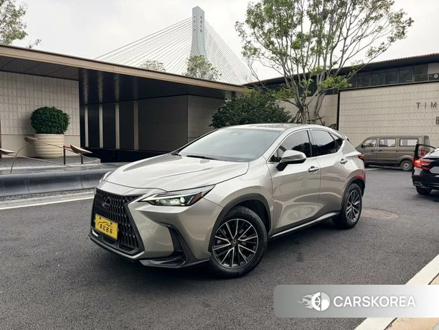 Lexus NX id 4276988 из Китая 19