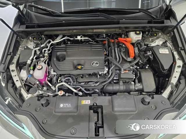 Lexus NX450h + 2nd generation id 4539607 из Кореи 12