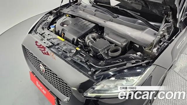 Jaguar E-PACE id 2956466 из Кореи 16