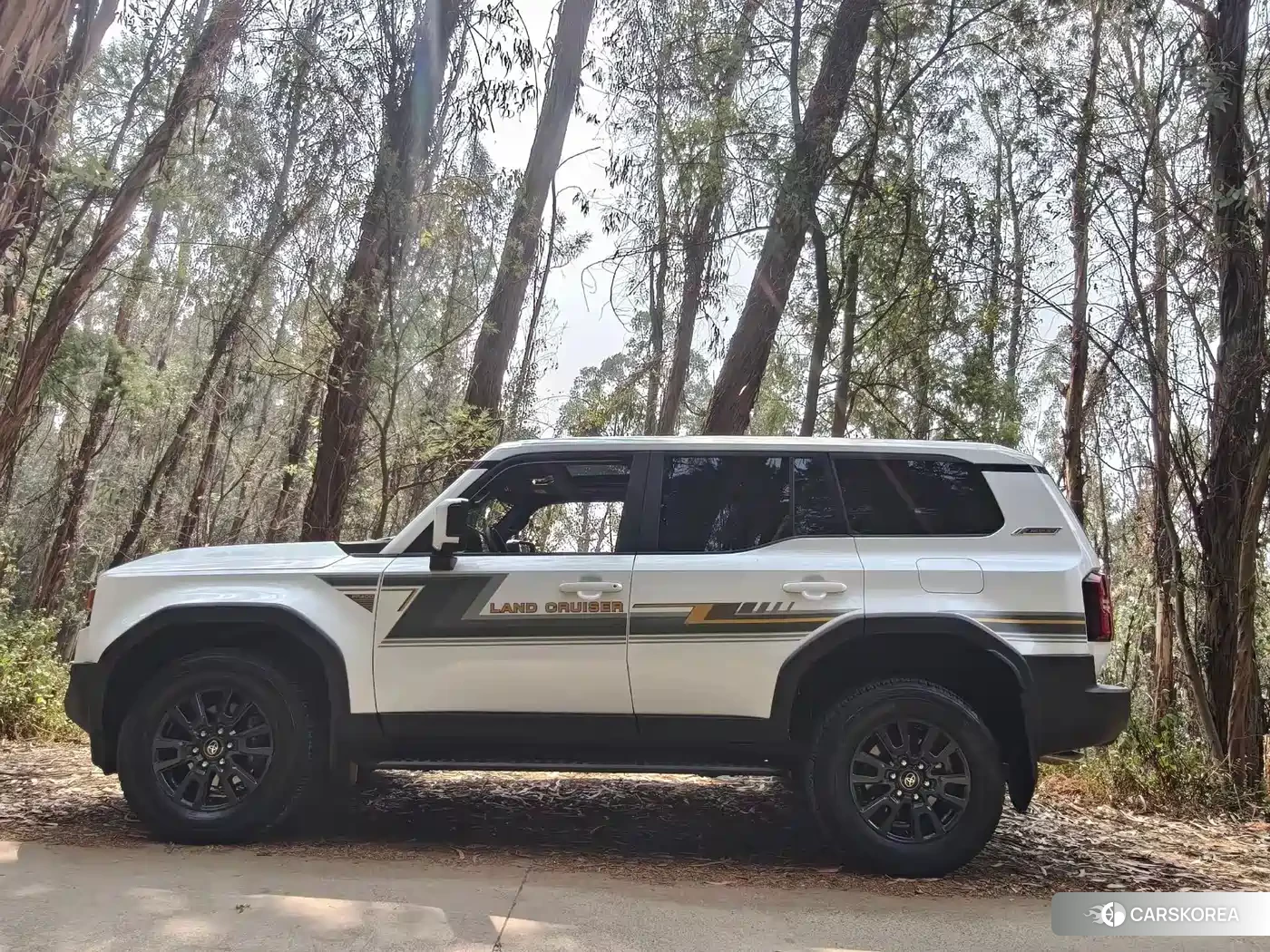 Toyota Prado id 4600726 из Китая 15