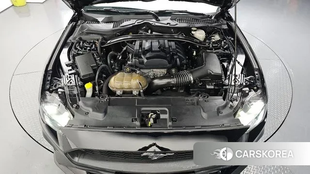 Ford Mustang id 3356640 из Кореи 16