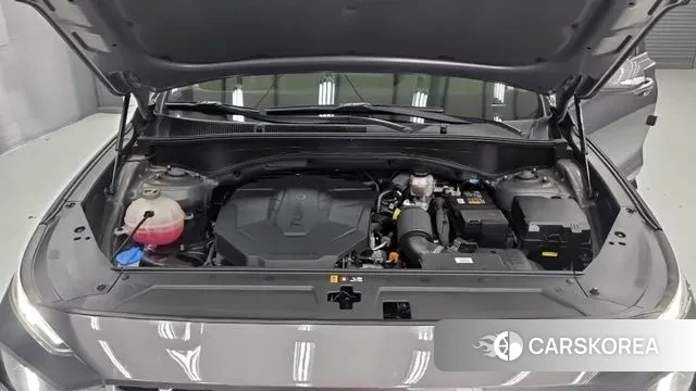 Hyundai The New Santa Fe id 3037987 из Кореи 16