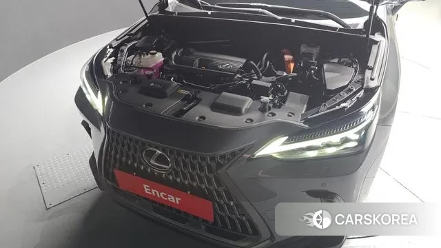 Lexus NX350h Second generation id 2968486 из Кореи 16