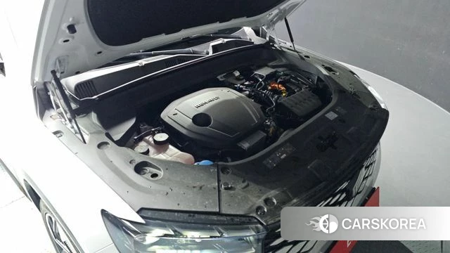 Renault Korea (Samsung) Grand Coleos id 4242772 из Кореи 30