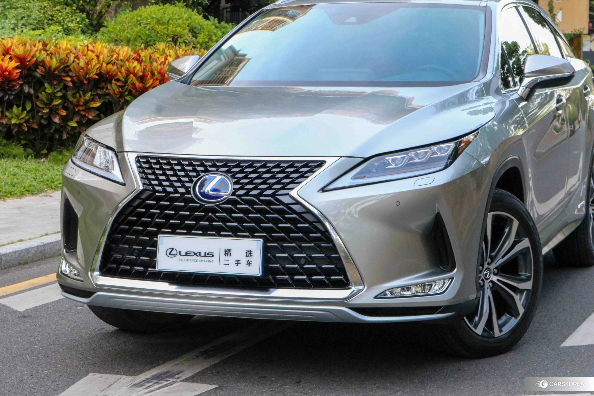 Lexus RX id 4479829 из Китая 8