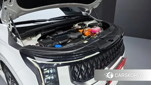 Kia The New Carnival 4th Generation id 3442225 из Кореи 16