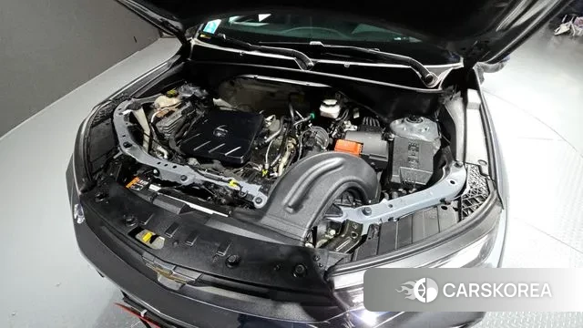 Chevrolet (GM Daewoo) Trailblazer id 3621650 из Кореи 16