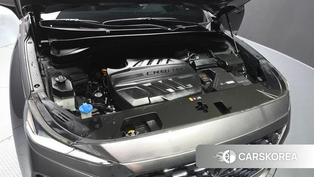 Hyundai Santa Fe TM id 3966339 из Кореи 16