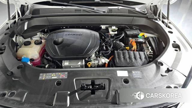 Renault Korea (Samsung) Grand Coleos id 4681684 из Кореи 28
