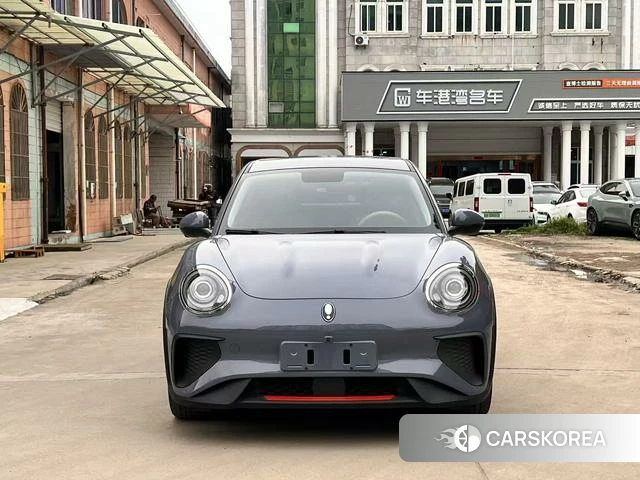Euler Good cat GT 2022 Серебристо-серый из Китая, фото 6
