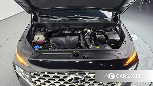 Hyundai The New Santa Fe id 3007134 из Кореи 16