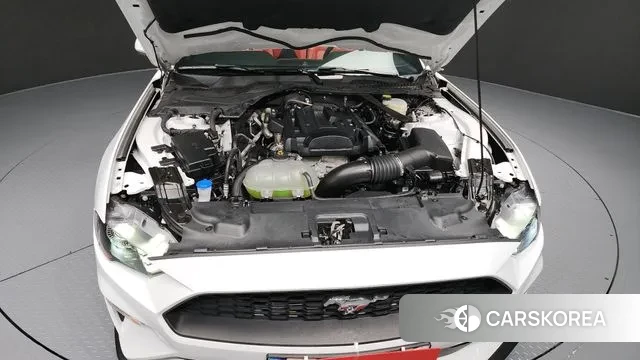 Ford Mustang id 3497314 из Кореи 16