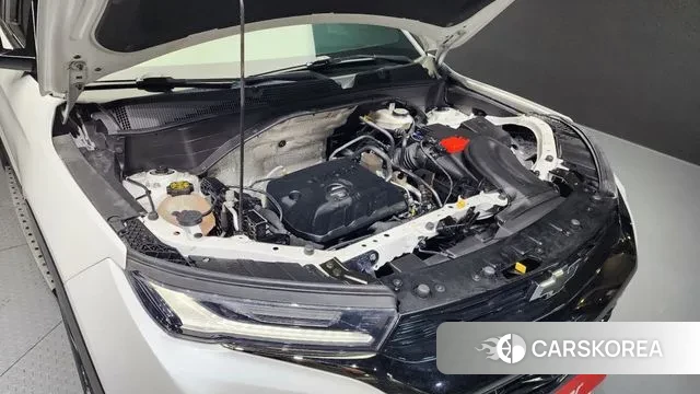 Chevrolet (GM Daewoo) Trailblazer id 3161165 из Кореи 16