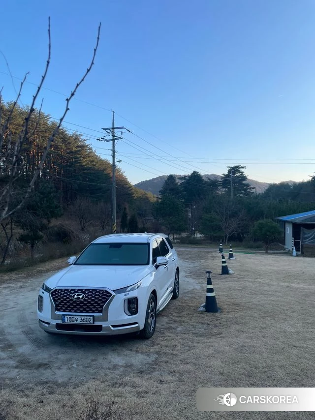 Hyundai Palisade id 3813481 из Кореи 7