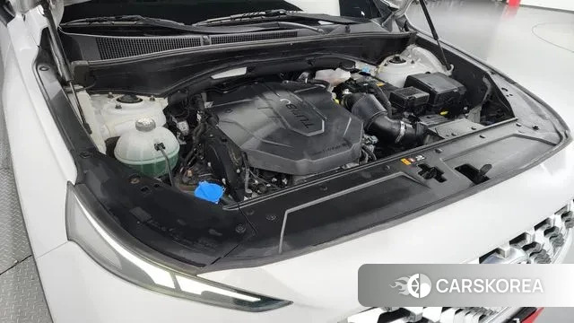 Hyundai The New Santa Fe id 3004011 из Кореи 16