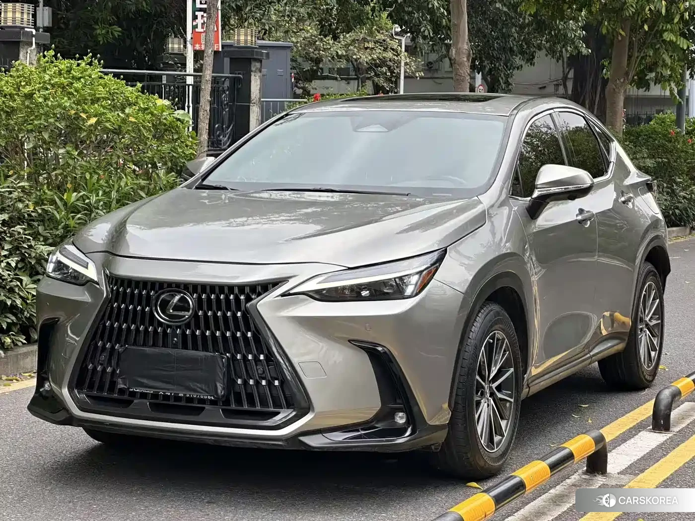 Lexus NX id 4539087 из Китая 10