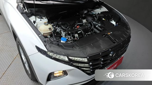 Hyundai Tucson (NX4) id 4267441 из Кореи 16