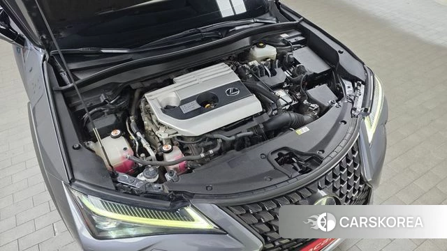 Lexus UX250h id 4390227 из Кореи 27