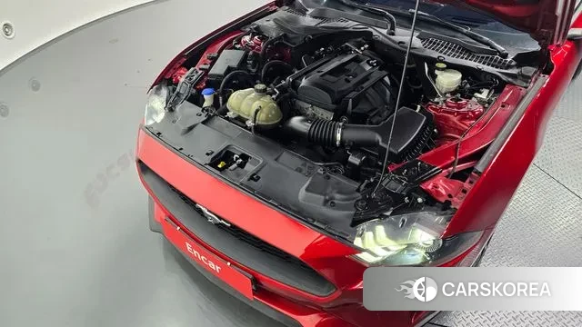 Ford Mustang id 3412585 из Кореи 16