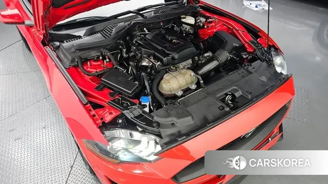 Ford Mustang id 3355124 из Кореи 16