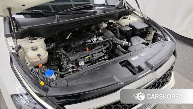 Kia Sportage 5th Generation id 3625010 из Кореи 16