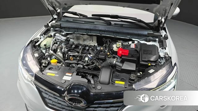 Renault Korea (Samsung) XM3 id 4746064 из Кореи 26